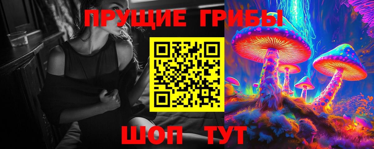 Псилоцибиновые грибы GOLDEN TEACHER Серпухов