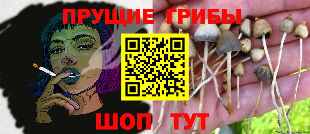Псилоцибиновые грибы Psilocybe  Вход с VPN  Серпухов  Псилоцибиновые грибы Magic Shrooms 